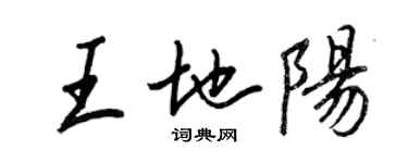 王正良王地阳行书个性签名怎么写