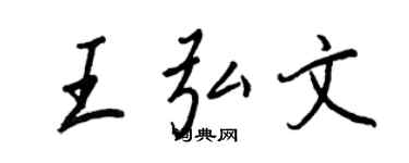王正良王弘文行书个性签名怎么写