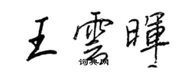王正良王云晖行书个性签名怎么写