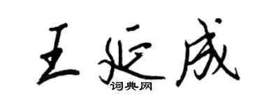 王正良王延成行书个性签名怎么写