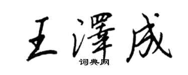 王正良王泽成行书个性签名怎么写