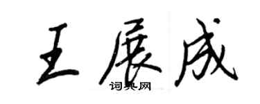 王正良王展成行书个性签名怎么写