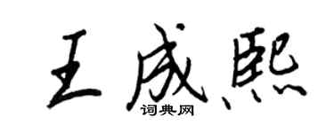王正良王成熙行书个性签名怎么写