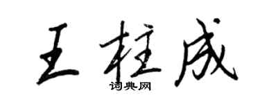王正良王柱成行书个性签名怎么写