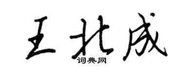 王正良王北成行书个性签名怎么写