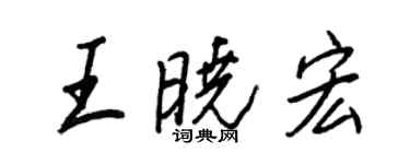 王正良王晓宏行书个性签名怎么写