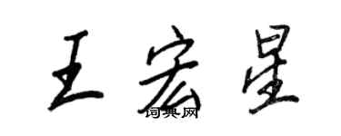 王正良王宏星行书个性签名怎么写