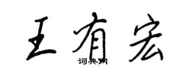 王正良王有宏行书个性签名怎么写