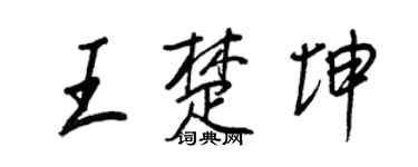 王正良王楚坤行书个性签名怎么写