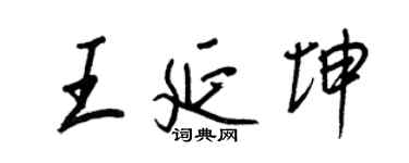 王正良王延坤行书个性签名怎么写
