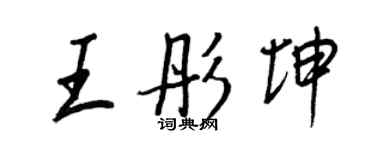 王正良王彤坤行书个性签名怎么写