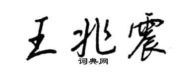 王正良王兆震行书个性签名怎么写