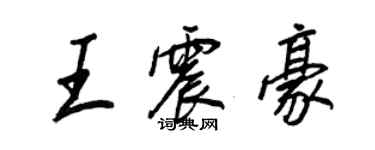 王正良王震豪行书个性签名怎么写