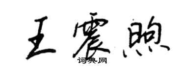 王正良王震煦行书个性签名怎么写