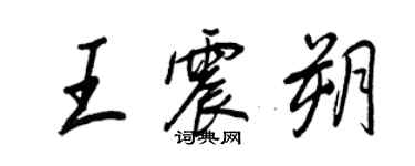 王正良王震朔行书个性签名怎么写