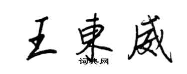 王正良王东威行书个性签名怎么写