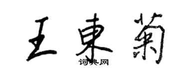 王正良王东菊行书个性签名怎么写