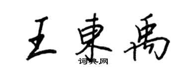 王正良王东禹行书个性签名怎么写