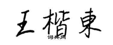 王正良王楷东行书个性签名怎么写