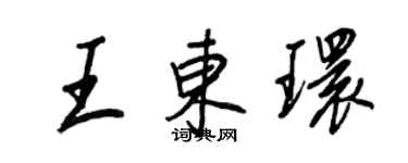 王正良王东环行书个性签名怎么写