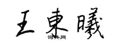 王正良王东曦行书个性签名怎么写