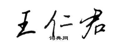 王正良王仁君行书个性签名怎么写