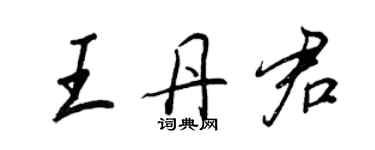王正良王丹君行书个性签名怎么写