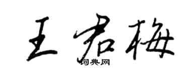 王正良王君梅行书个性签名怎么写