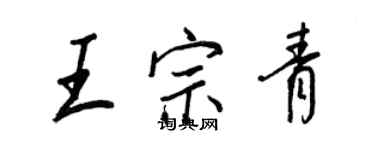 王正良王宗青行书个性签名怎么写