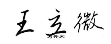 王正良王立微行书个性签名怎么写