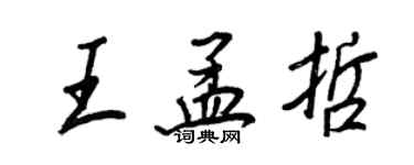 王正良王孟哲行书个性签名怎么写