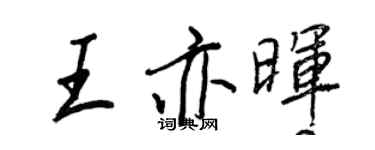 王正良王亦晖行书个性签名怎么写