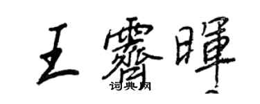 王正良王霁晖行书个性签名怎么写