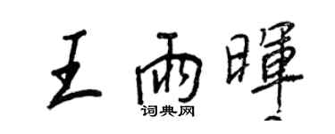 王正良王雨晖行书个性签名怎么写
