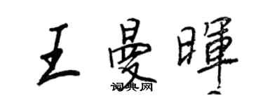 王正良王曼晖行书个性签名怎么写
