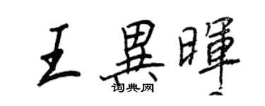 王正良王异晖行书个性签名怎么写
