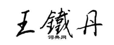 王正良王铁丹行书个性签名怎么写