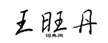 王正良王旺丹行书个性签名怎么写