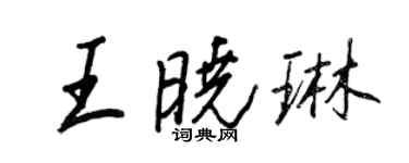 王正良王晓琳行书个性签名怎么写