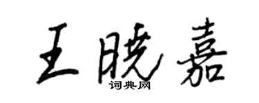 王正良王晓嘉行书个性签名怎么写