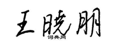 王正良王晓朋行书个性签名怎么写