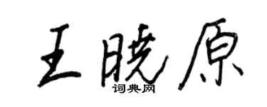 王正良王晓原行书个性签名怎么写
