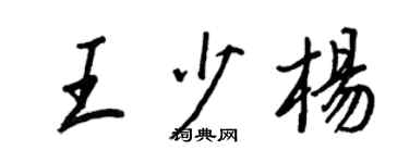 王正良王少杨行书个性签名怎么写