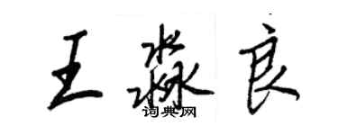 王正良王淼良行书个性签名怎么写