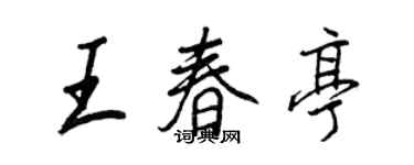 王正良王春亭行书个性签名怎么写