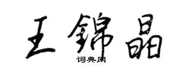 王正良王锦晶行书个性签名怎么写