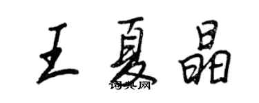 王正良王夏晶行书个性签名怎么写