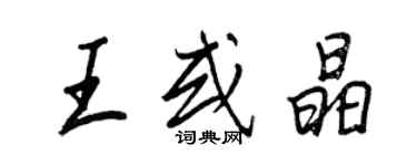 王正良王或晶行书个性签名怎么写