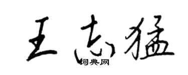 王正良王志猛行书个性签名怎么写