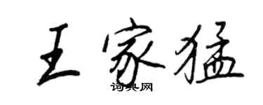 王正良王家猛行书个性签名怎么写